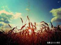 上海墨秀文化传播有限公司