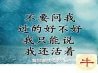 上海墨秀文化传播有限公司