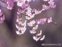 上海墨秀文化传播有限公司