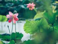 上海墨秀文化传播有限公司