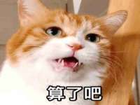 上海墨秀文化传播有限公司