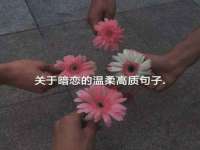 上海墨秀文化传播有限公司