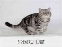 上海墨秀文化传播有限公司