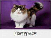 上海墨秀文化传播有限公司