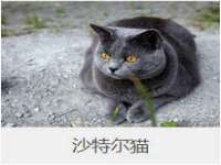 上海墨秀文化传播有限公司