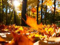 上海墨秀文化传播有限公司