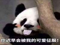 上海墨秀文化传播有限公司