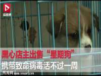 上海墨秀文化传播有限公司