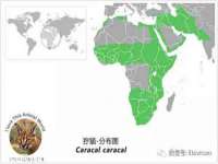 上海墨秀文化传播有限公司