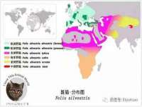 上海墨秀文化传播有限公司