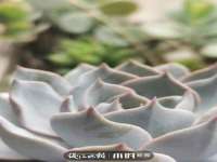 上海墨秀文化传播有限公司