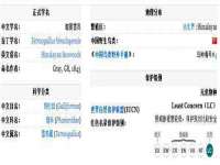 上海墨秀文化传播有限公司
