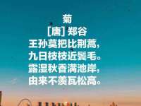 上海墨秀文化传播有限公司
