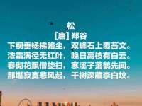 上海墨秀文化传播有限公司