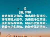 上海墨秀文化传播有限公司
