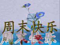 上海墨秀文化传播有限公司