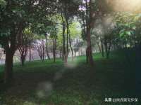 上海墨秀文化传播有限公司