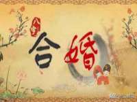 上海墨秀文化传播有限公司