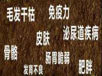 上海墨秀文化传播有限公司