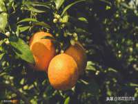 上海墨秀文化传播有限公司