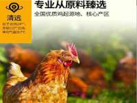 上海墨秀文化传播有限公司