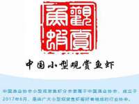 上海墨秀文化传播有限公司