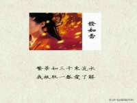 上海墨秀文化传播有限公司