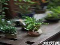 上海墨秀文化传播有限公司