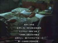 上海墨秀文化传播有限公司
