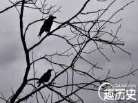 上海墨秀文化传播有限公司