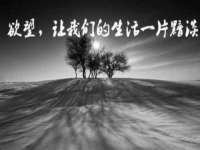 上海墨秀文化传播有限公司