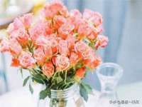 上海墨秀文化传播有限公司