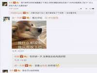 上海墨秀文化传播有限公司