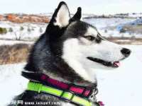 上海墨秀文化传播有限公司