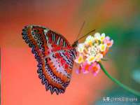 上海墨秀文化传播有限公司