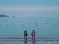 上海墨秀文化传播有限公司