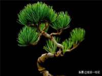 上海墨秀文化传播有限公司