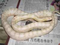 上海墨秀文化传播有限公司