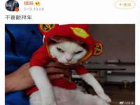 上海墨秀文化传播有限公司