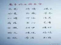 上海墨秀文化传播有限公司